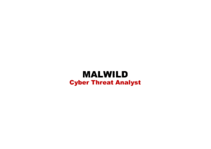MTW-CTI – Cyber Threat Analyst