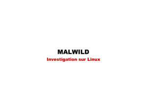 MTW-FOR – Investigation numérique sur Linux